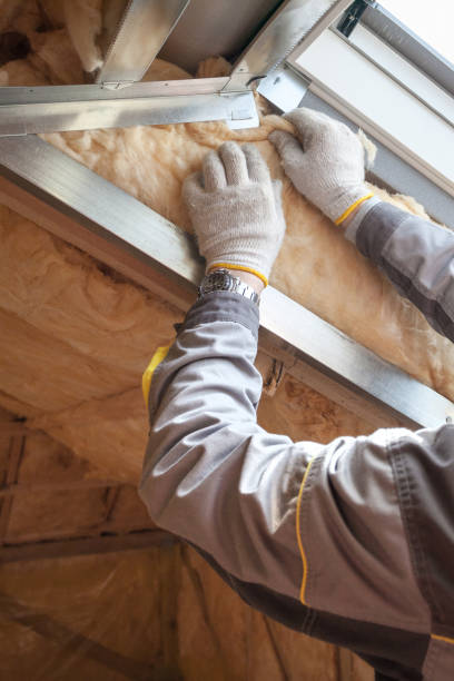 Best DIY Insulation Kits and Guidance in Newton, MS