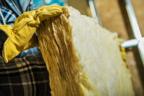 Best Cellulose Insulation in Newton, MS