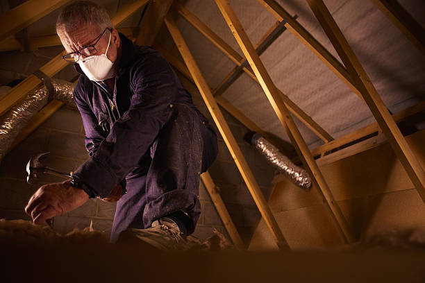 Best Insulation Maintenance and Repair in Newton, MS